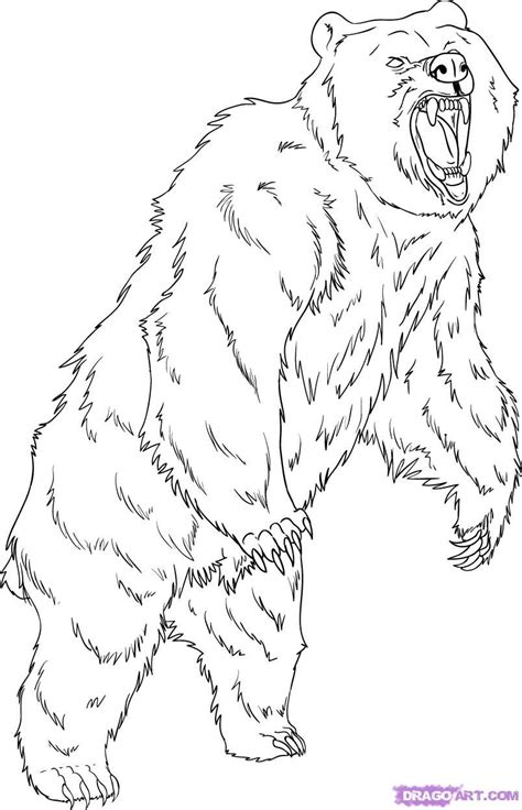 Grizzly Bear Coloring Pages | How to Draw a Grizzly Bear, Step by Step, forest animals, Animals ...