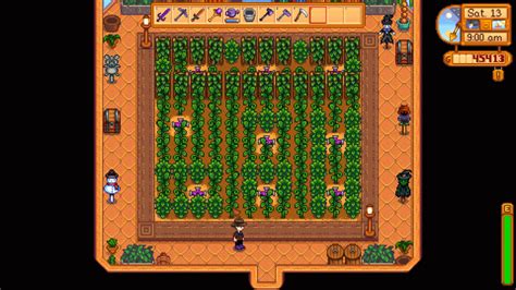 delicatezza Deviazione Allineare greenhouse stardew valley sprinkler Impegno esterno navigare