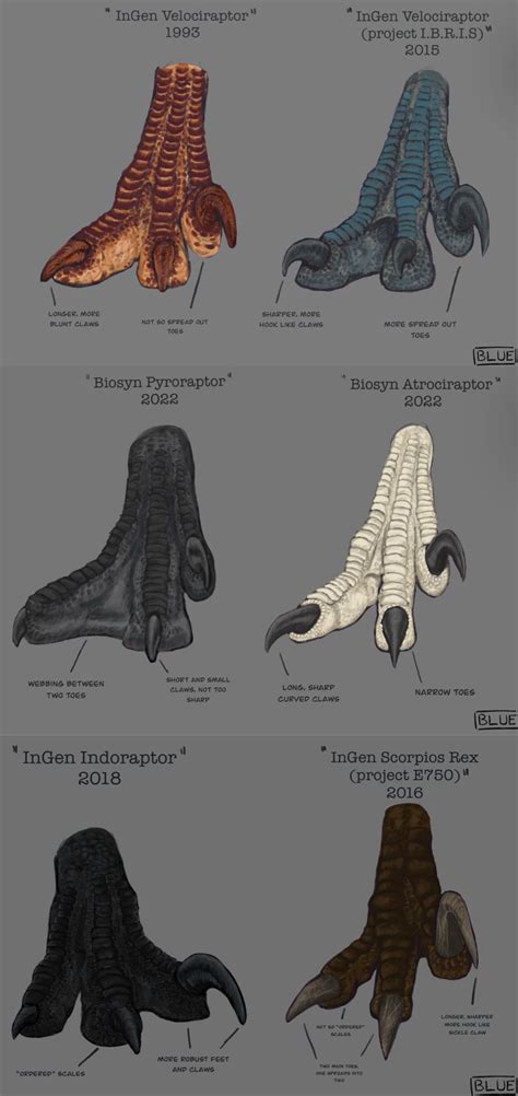 Jurassic park raptor toe claw comparison | Jurassic Park | Know Your Meme