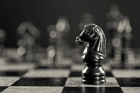 Knight Chess Piece Pictures, Images and Stock Photos - iStock