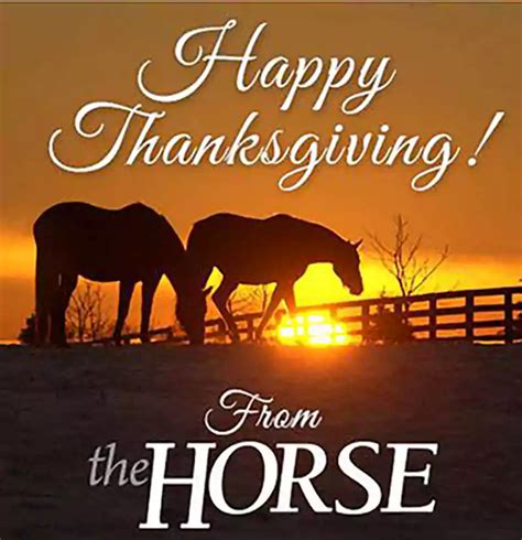 50+ Happy Thanksgiving Horse Images Free Download 2023 - QuotesProject.Com