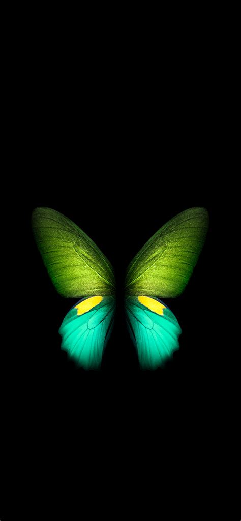 Butterfly - Galaxy Fold (Green) | LIVE Wallpaper - Wallpapers Central