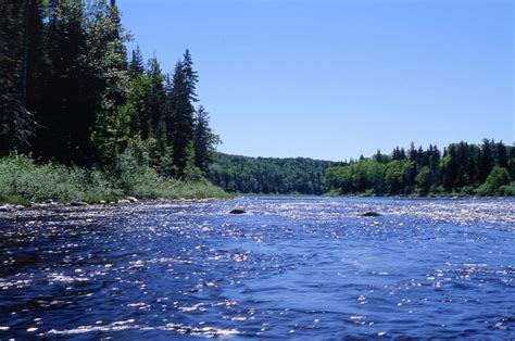 Allagash Wilderness Waterway A Natural History Guide