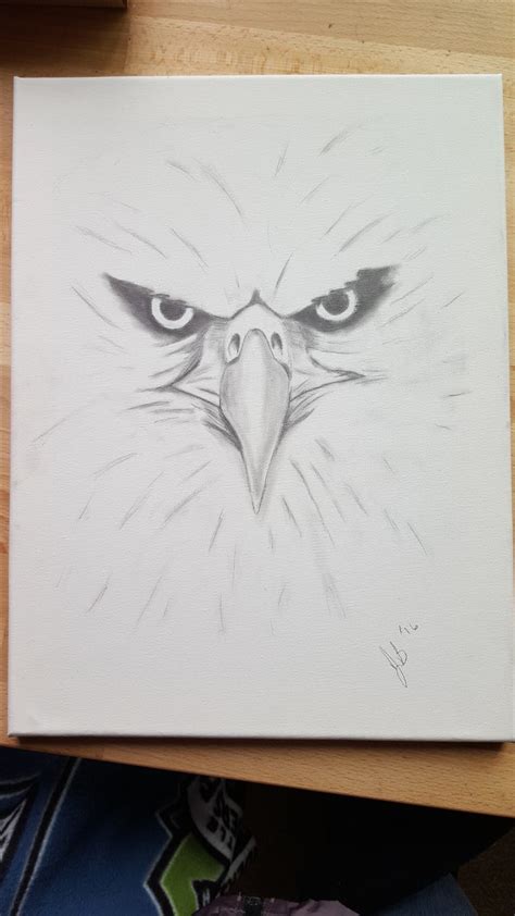 Eagle, pencil drawing