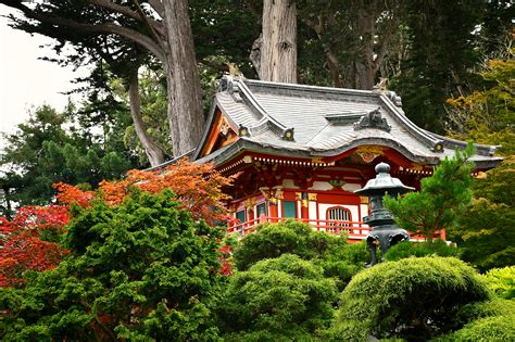 My visit to the Japanese Tea Garden in San Francisco. – MARY-ANN&CO