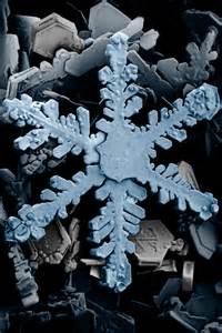 File:Snow crystals 2b.png - Wikipedia, le encyclopedia libere