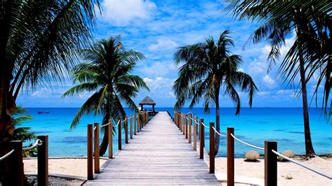 Pier Tropical Ocean Palm Tree Horizon Wallpaper Data-src - Summer Beach Backgrounds - 1920x1080 ...