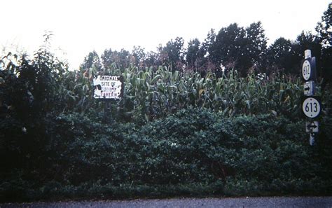 Chancellorsville: Site of Todd's Tavern | Richmond area Civi… | Flickr