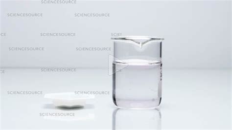 Adding sodium carbonate to water | Stock Video - Science Source Images