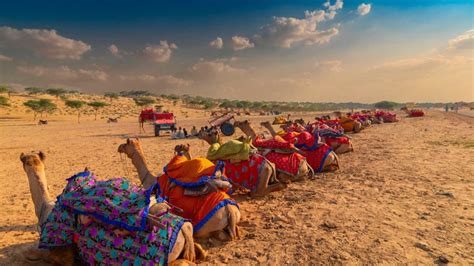 Thar Desert Safari - Best Rajasthan Desert Safari Tours - My Rajasthan Trip