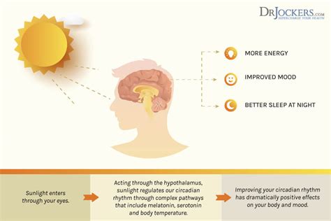 Sunlight and Vitamin D3 for Brain Health - DrJockers.com