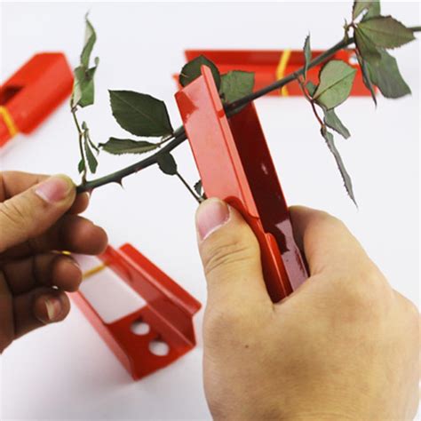 Leaf Thorn Removal Clip – JOOPZY