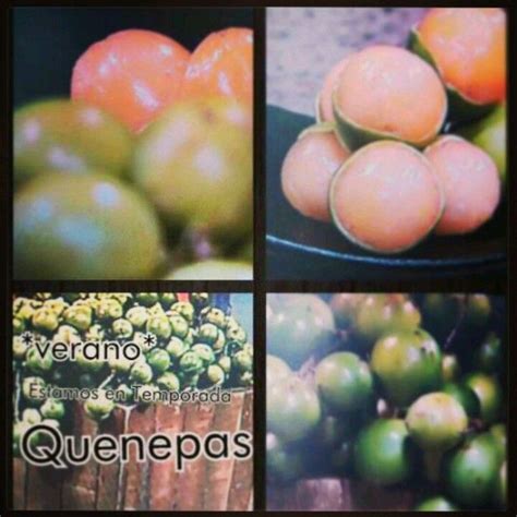 Summer time= Quenepas are in SEASON! !!!! Quenepas » other names for this sweet Caribbean fruit ...