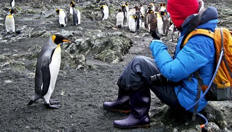 Penguin poop can make you loopy! – Eideard