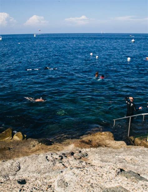 Catalina Island Snorkeling & Snorkel Tours