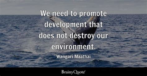 Wangari Maathai Quotes - BrainyQuote