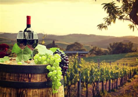 The Best Winery Tours in Nashville | Wine Tasting