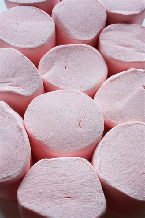 Pink Marshmallows stock photo. Image of toasted, treat - 14885088