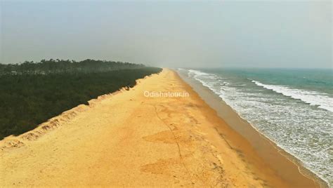 Siali Sea Beach & Eco Resort, Jagatsinghpur | Odisha Tour