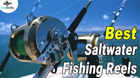 Best Saltwater Fishing Reels In 2020 – Find Out The Best Saltwater Reels! - YouTube