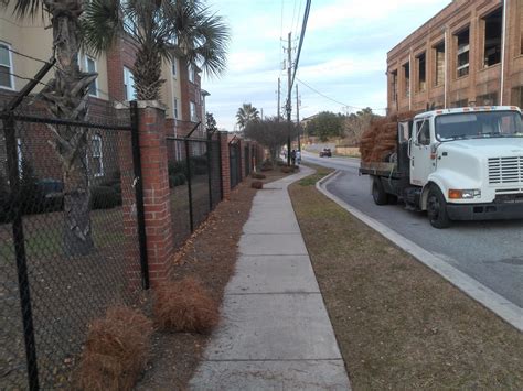 Long Leaf Pine Straw Installation - Savannah's Landscaping Services