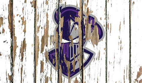 Furman Vintage College University Logo Peeling Barn Wood Paint Mixed ...