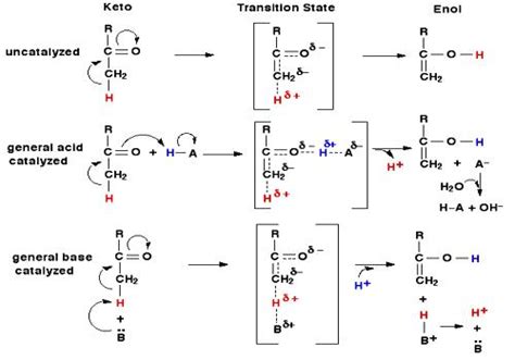 Acid-Base Catalysis - QS Study