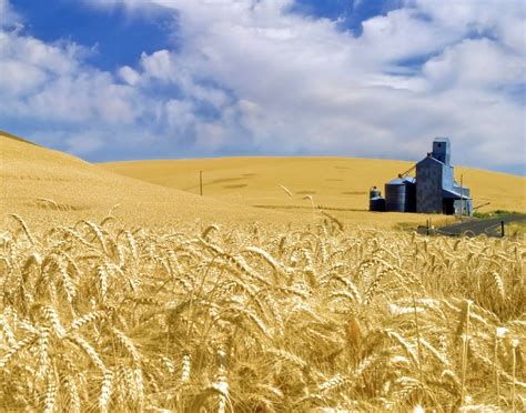 Harvest Time the Palouse Wall Art Photography Fine Art - Etsy