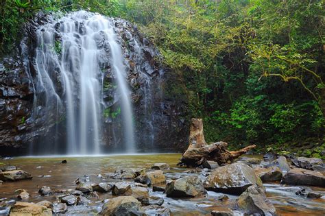 Atherton Tablelands Discover Visitors Guide Brochure Request