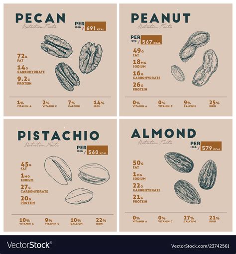 Nutrition facts of nut pecan peanut pistachio Vector Image