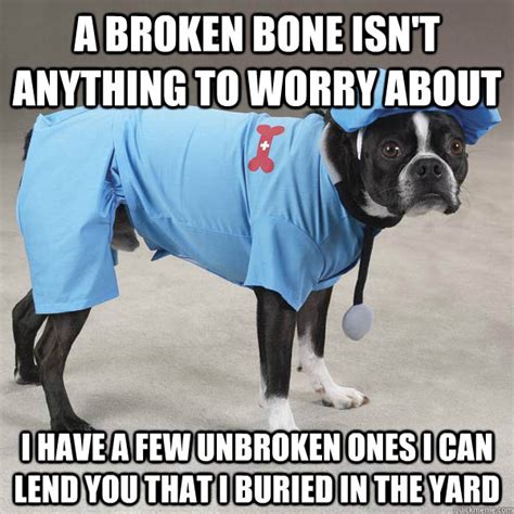 The road to recovery Is going to be ruff - Doctor Dog - quickmeme