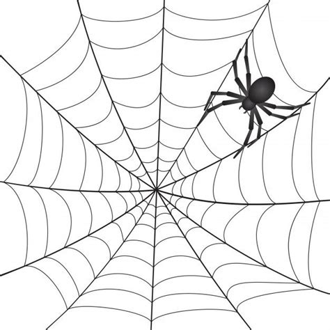 Premium Vector | Spiderweb with spider on white background ...