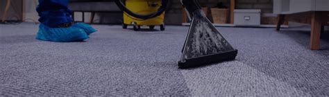 Top 10 Best Carpet Cleaners in Louisville KY | Angie's List