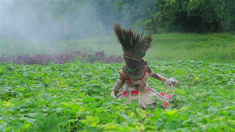 Activist's 'Organic Theatre' to promote natural farming in Kerala - INDIA New England News