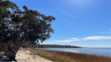 Carolina Beach State Park reported 78 percent growth in visitors in 2020