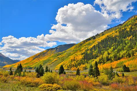 Red Mountain Pass Fall Colors Photograph by Ray Mathis - Fine Art America