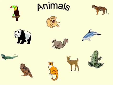 Land Animals – Facts, List, Pictures, 60% OFF