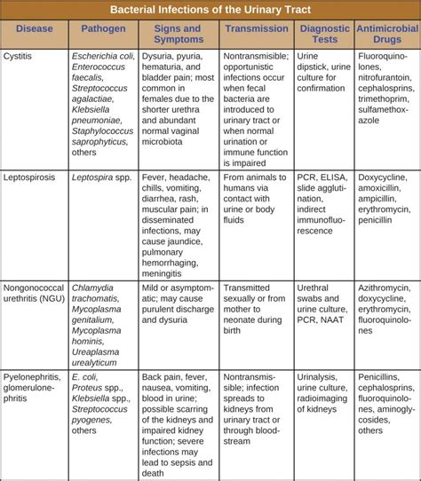 24.2 Bacterial Infections of the Urinary System – Microbiology: Canadian Edition