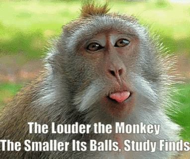 Monkeyballs GIF - Monkeyballs - Discover & Share GIFs