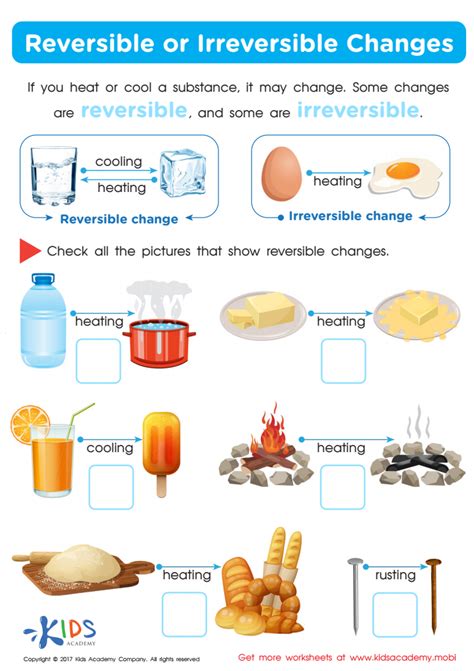 Reversible Irreversible Changes Worksheet: Free Printable PDF for Kids