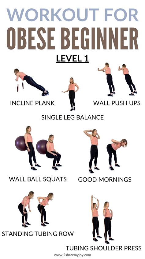 Workout for Obese Beginners (Low Impact) - 2sharemyjoy.com