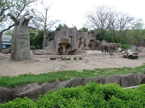 African Elephant Exhibit - ZooChat