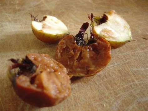 How to Make Medlar Jam | Delishably