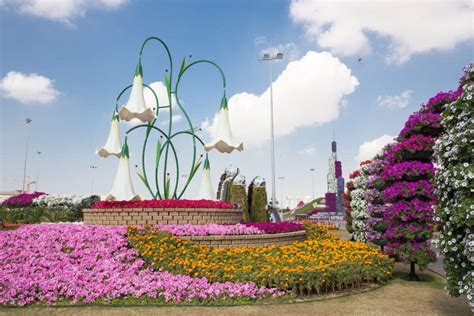 5 reasons to visit Butterfly Garden in Dubai