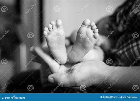 Baby Feet in Mother Hands. Black-and-white Photo Stock Photo - Image of care, black: 201763696