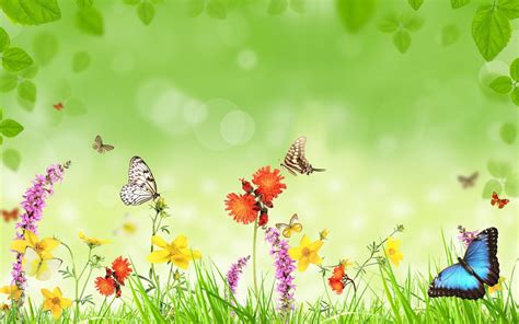 Butterfly Garden Wallpapers - Top Free Butterfly Garden Backgrounds - WallpaperAccess