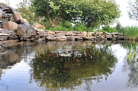 pond rock wall | Pond water features, Pond design, Pond rocks