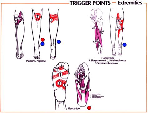 Pin on Massage Therapy and Bodywork