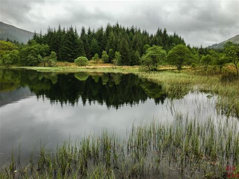 50+ Best Lochs in Scotland (Most scenic) - Map + Photos