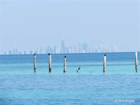 Boca Chita Key: The Islands at Biscayne National Park